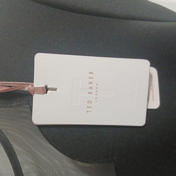 NWT Ted Baker London Mesh Paneled Scallop Dress - Picture 2 of 8